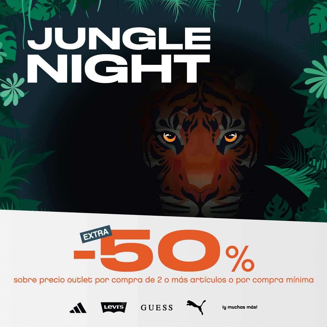 jungle night